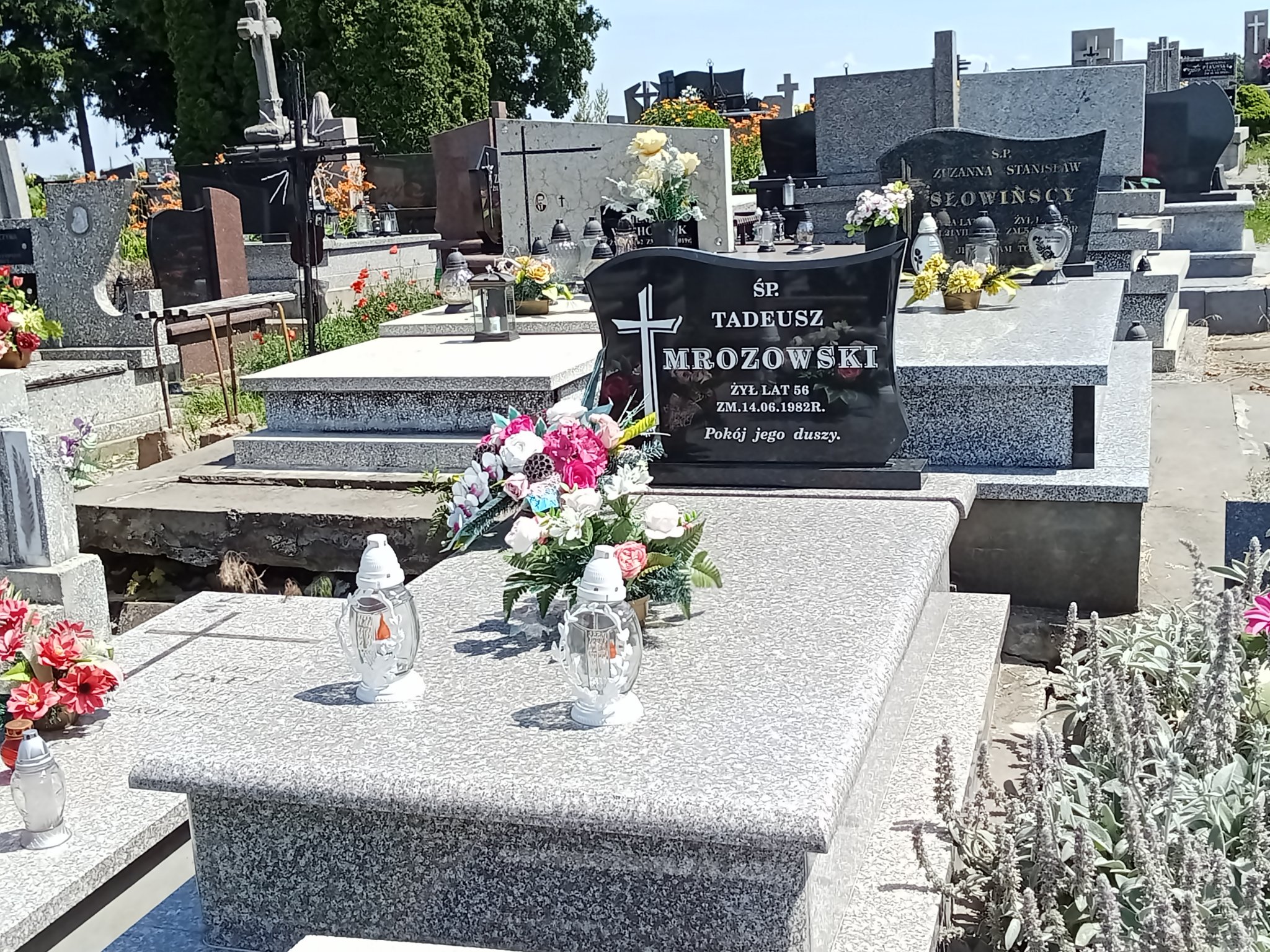 Grób Tadeusz Mrozowski