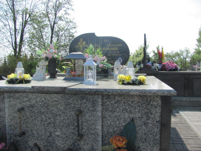 Grób Apolinary Kocznur