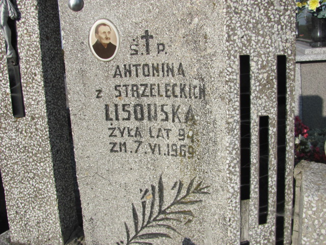 Antonina Lisowska Opatów - Grobonet - Wyszukiwarka osób pochowanych