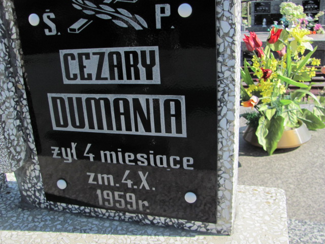 Jan Dumania Opatów - Grobonet - Wyszukiwarka osób pochowanych