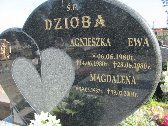 Ewa Dzioba 1980 Opatów - Grobonet - Wyszukiwarka osób pochowanych