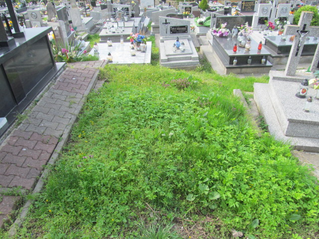 Maria Borzęcka 1920 Opatów - Grobonet - Wyszukiwarka osób pochowanych