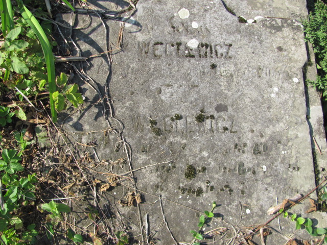  Węglewicz Opatów - Grobonet - Wyszukiwarka osób pochowanych